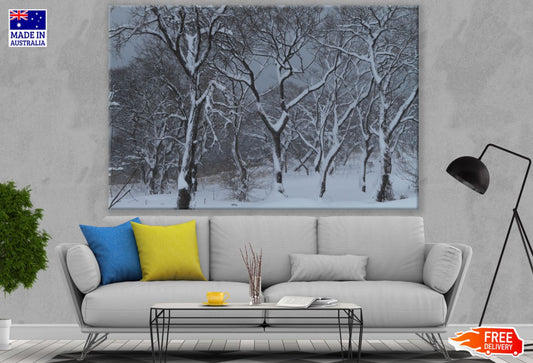 Snow Covered Forest Photograph Print 100% Australian Made
