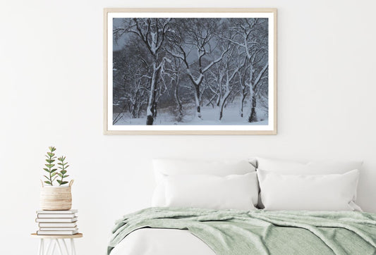 Snow Covered Forest Photograph Home Decor Premium Quality Poster Print Choose Your Sizes