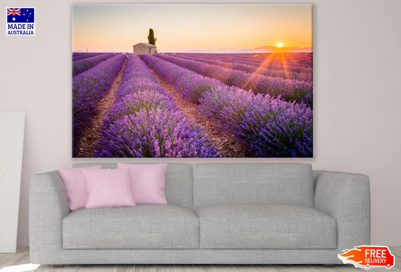 Lavender Field Sunset Scenery Print 100% Australian Made