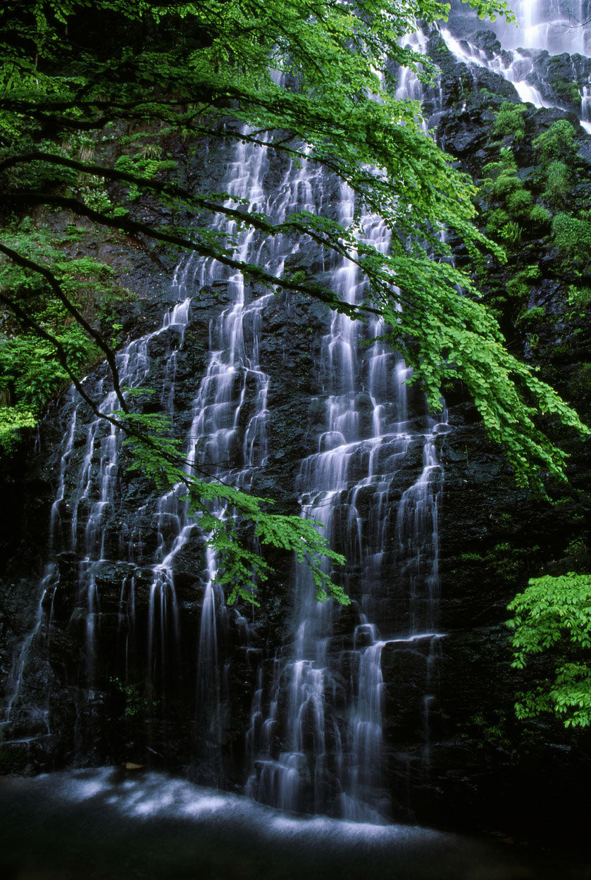 Waterfall in Forest Photograph Print 100% Australian Made