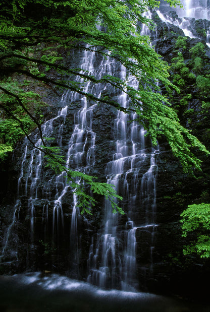 Waterfall in Forest Photograph Print 100% Australian Made