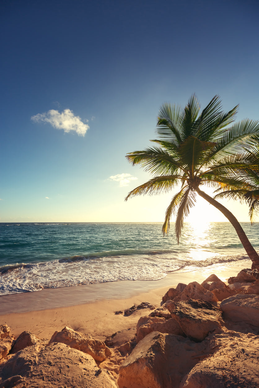Palm Tree Sunset Sea Scenery View Home Decor Premium Quality Poster Print Choose Your Sizes