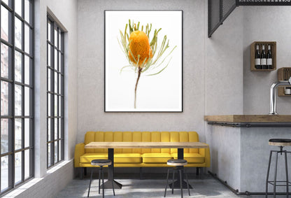 Yellow Flower Closeup Photograph Home Decor Premium Quality Poster Print Choose Your Sizes