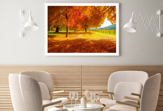 Autumn Forest Scenery Photograph Home Decor Premium Quality Poster Print Choose Your Sizes