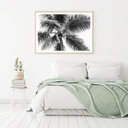 Palm Tree B&W Photograph Home Decor Premium Quality Poster Print Choose Your Sizes