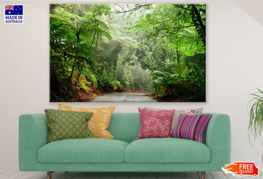 Road in Forest Scenery Photograph Print 100% Australian Made