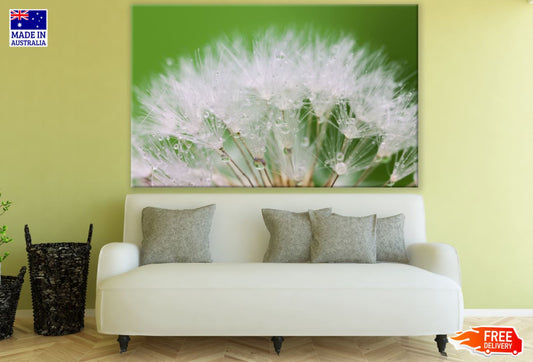 Dandelion Flowers with WaterDrops Print 100% Australian Made