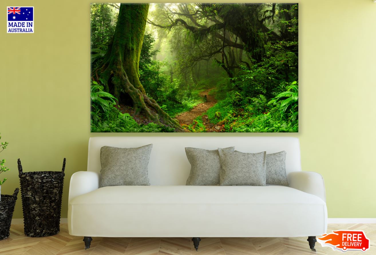 Deep Forest Scenery Photograph Print 100% Australian Made