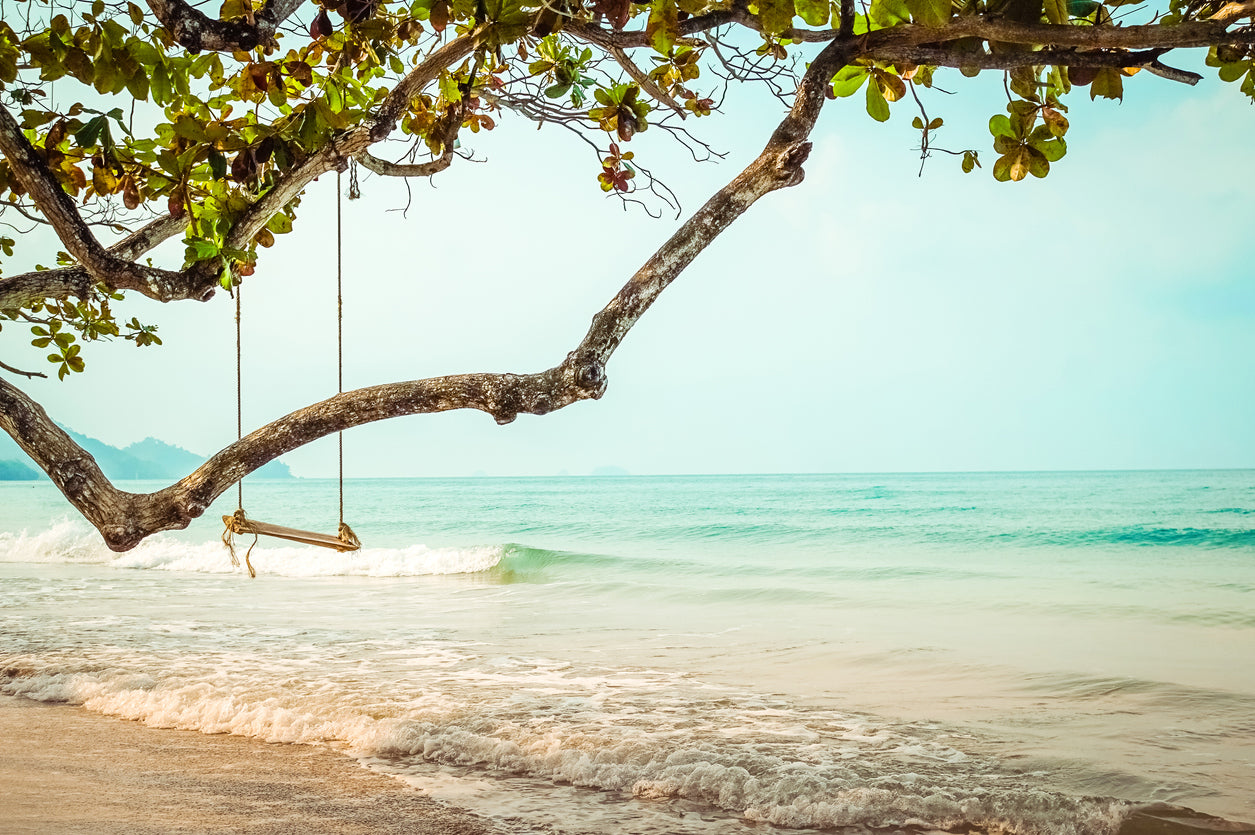 Tree & Sea Scenery Photograph Print 100% Australian Made