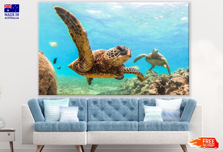 Turtles in Sea Photograph Print 100% Australian Made