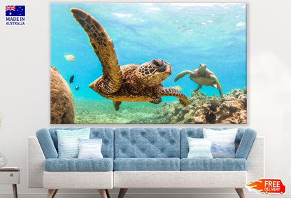 Turtles in Sea Photograph Print 100% Australian Made