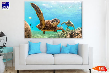 Sea Turtles Swimming Scenery Photograph Print 100% Australian Made