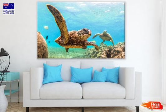 Sea Turtles Swimming Scenery Photograph Print 100% Australian Made