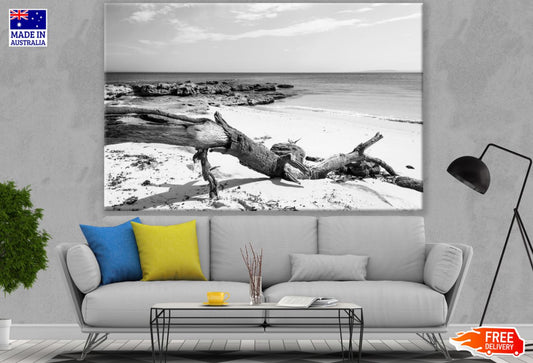 Dead Tree on Beach B&W Photograph Print 100% Australian Made