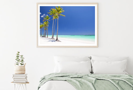 Palm Tree Row Near Sea Photograph Home Decor Premium Quality Poster Print Choose Your Sizes