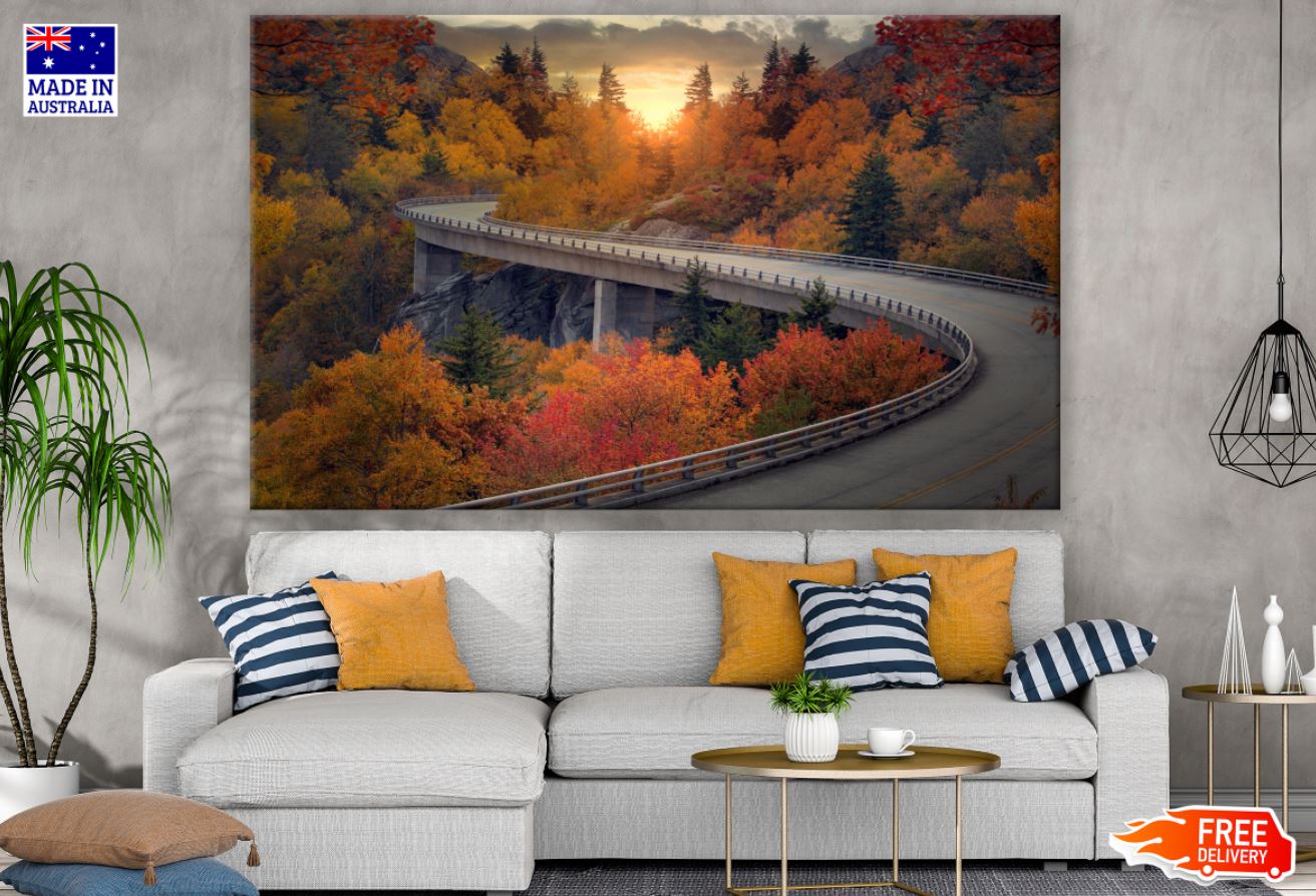Road Over Forest Photograph Print 100% Australian Made