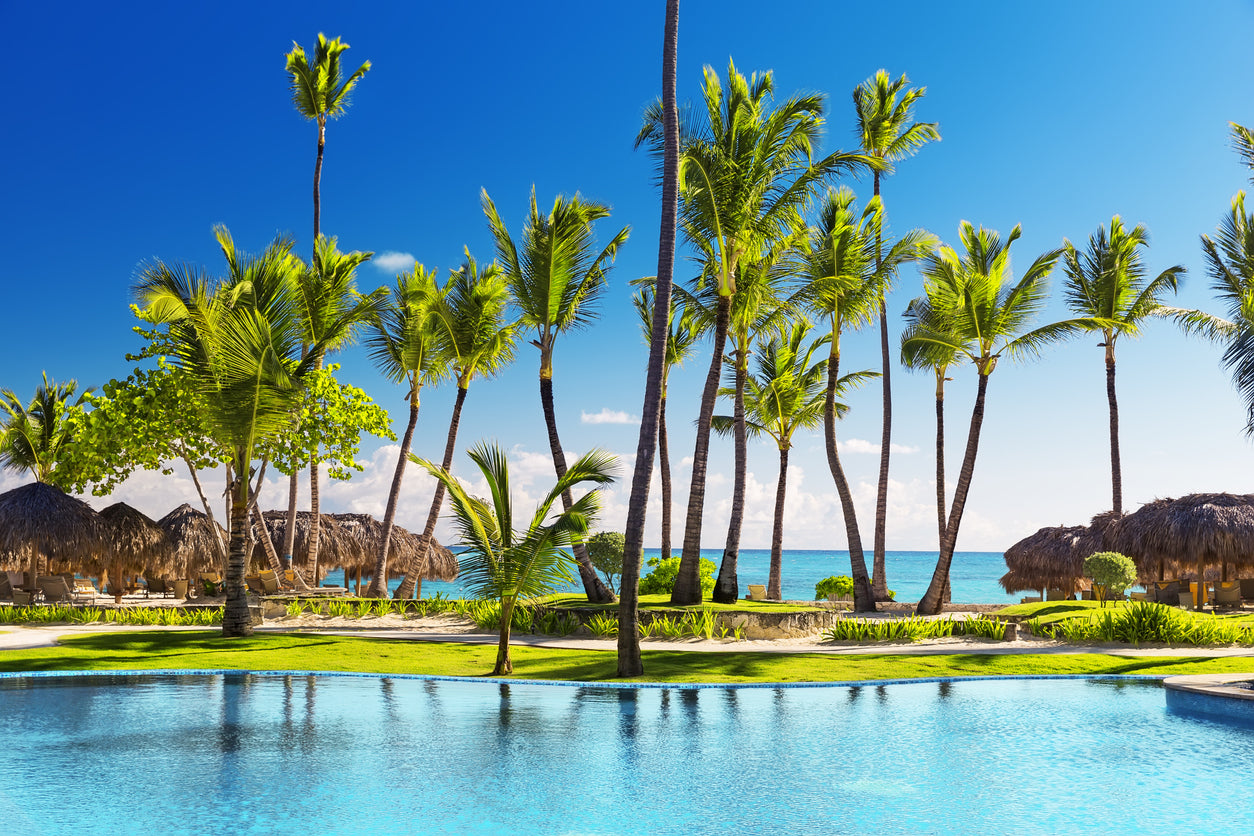 Palm Trees Near Pool & Sea View Home Decor Premium Quality Poster Print Choose Your Sizes