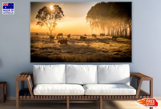 Cows on Meadow at Sunset Scenery Photograph Print 100% Australian Made