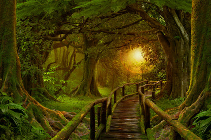 Bridge in Deep Forest Photograph Print 100% Australian Made