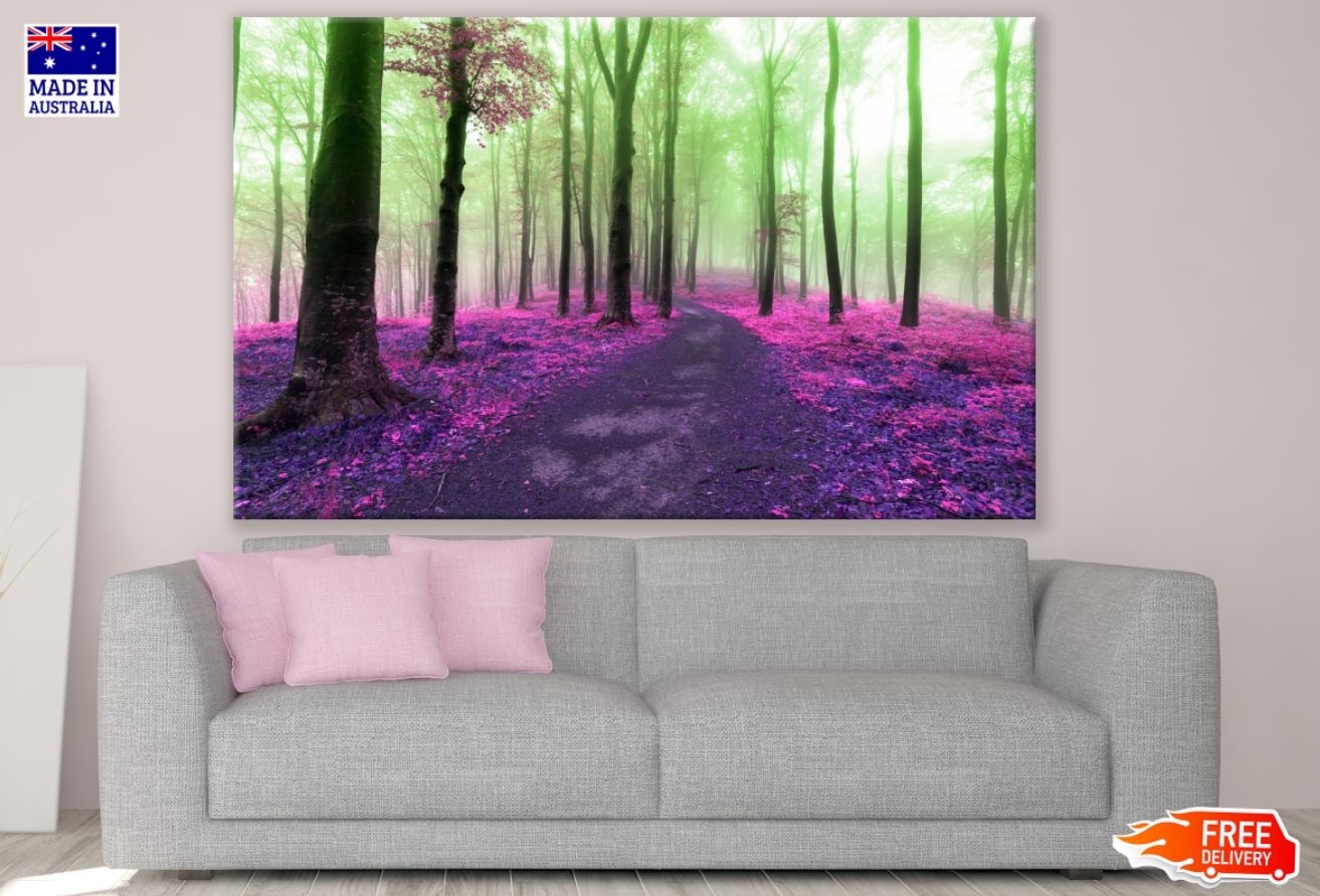 Misty Forest Scenery Photograph Print 100% Australian Made