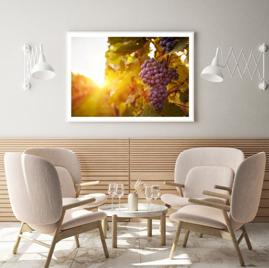 Grape Plants Photograph Home Decor Premium Quality Poster Print Choose Your Sizes
