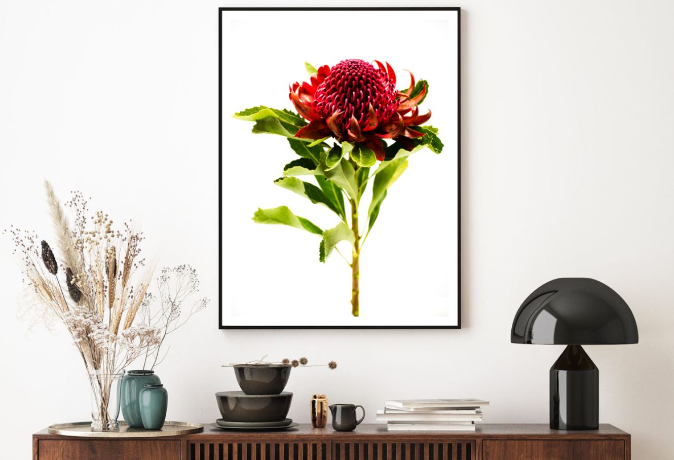 Red Flower Closeup Photograph Home Decor Premium Quality Poster Print Choose Your Sizes