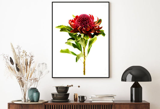 Red Flower Closeup Photograph Home Decor Premium Quality Poster Print Choose Your Sizes