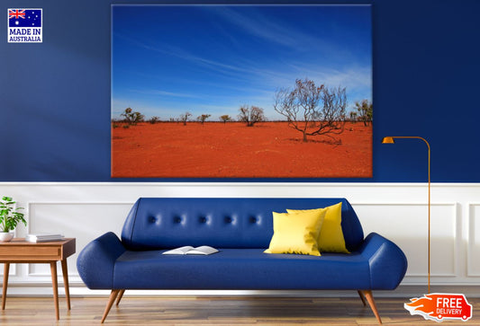 Dry Land with Dead Trees View Print 100% Australian Made