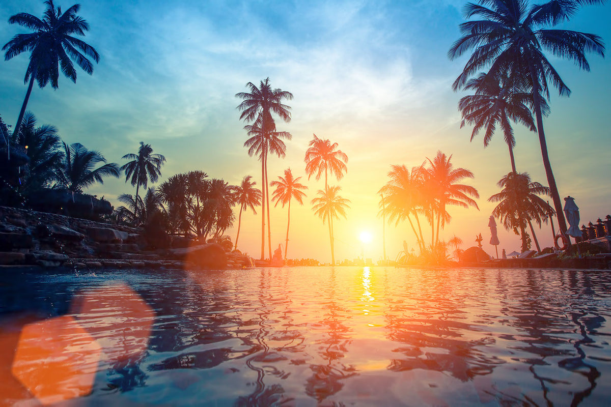 Palm Trees Near Pool Sunset View Print 100% Australian Made