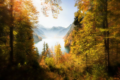 Misty Autumn Forest Photograph Home Decor Premium Quality Poster Print Choose Your Sizes