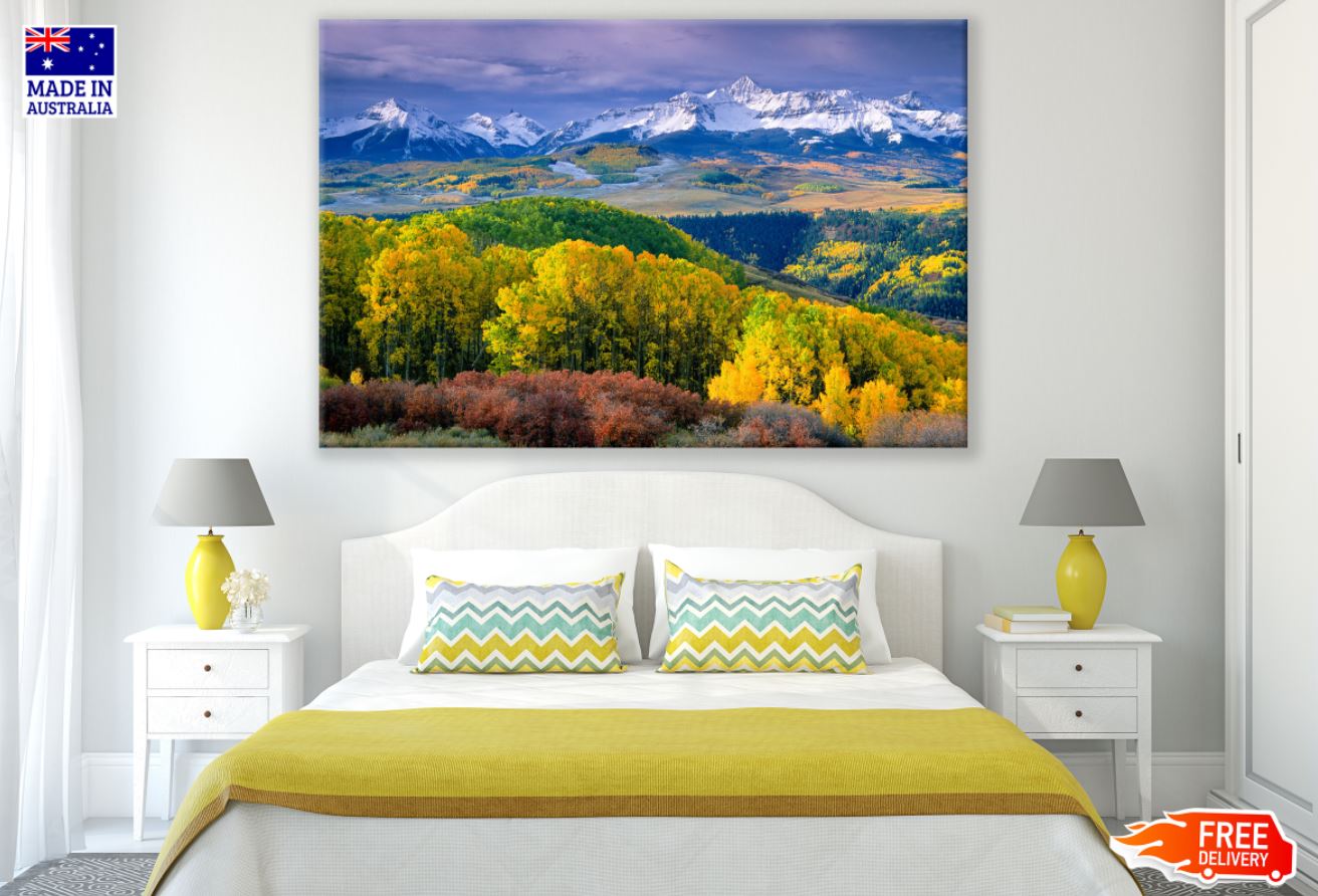 Forest Sky View Scenery View Print 100% Australian Made
