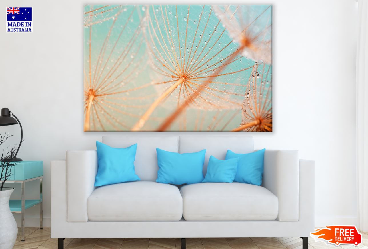 Dandelion Flowers with WaterDrops Print 100% Australian Made
