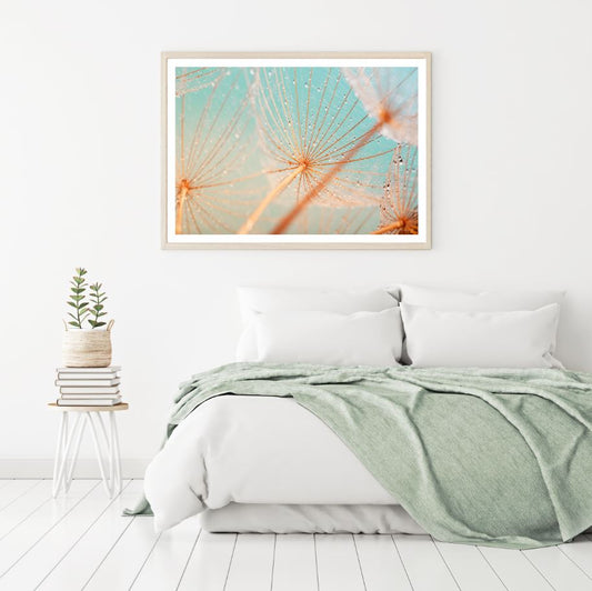 Dandelion Flowers with WaterDrops Home Decor Premium Quality Poster Print Choose Your Sizes
