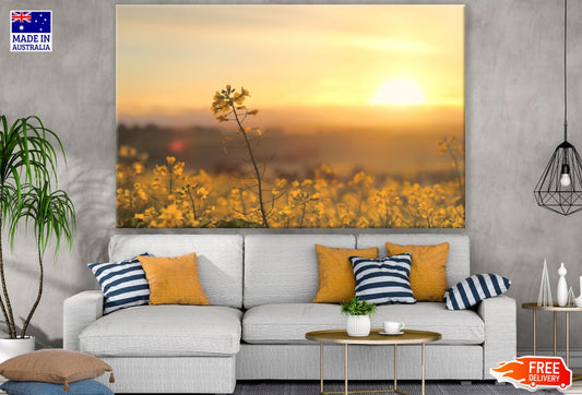 Grass Sunset Photograph Print 100% Australian Made