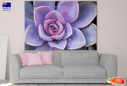 Flower Macro Photograph Print 100% Australian Made