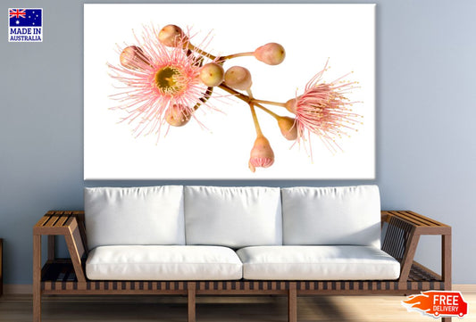 Pink Flowers Closeup Photograph Print 100% Australian Made