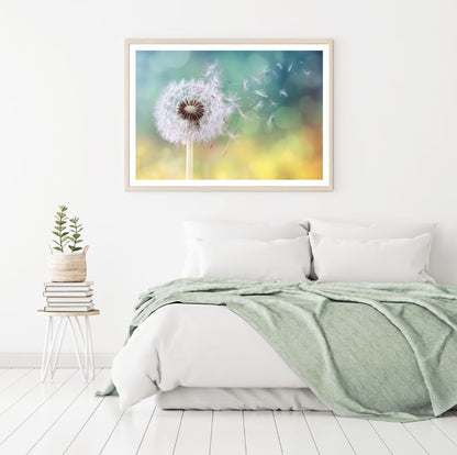 Dandelion Flower Closeup View Home Decor Premium Quality Poster Print Choose Your Sizes