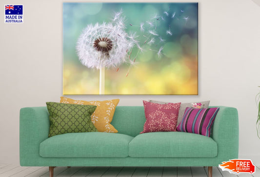 Dandelion Flower Closeup View Print 100% Australian Made