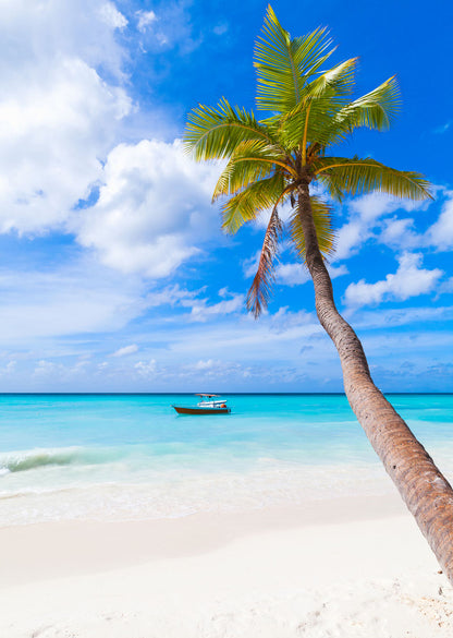 Boat on Sea & Palm Tree Scenery Home Decor Premium Quality Poster Print Choose Your Sizes