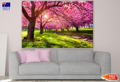 Blossom Trees Park Scenery View Print 100% Australian Made