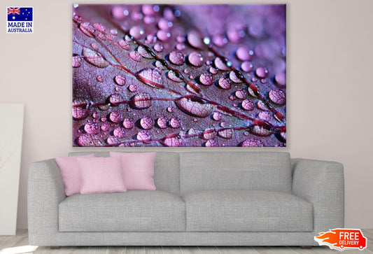 Waterdrops on Leaf Closeup View Print 100% Australian Made