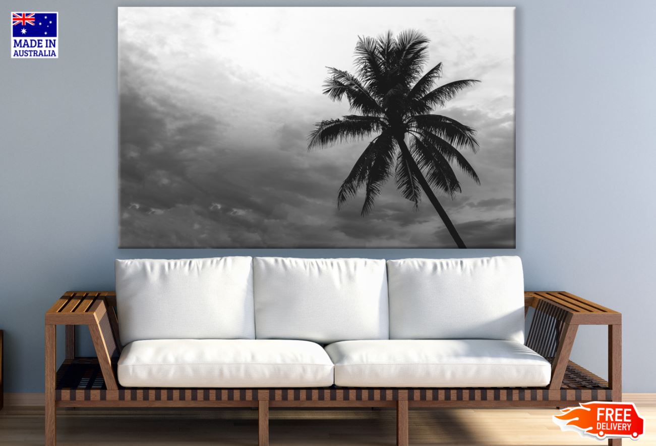 Palm Tree & Sky B&W Photograph Print 100% Australian Made