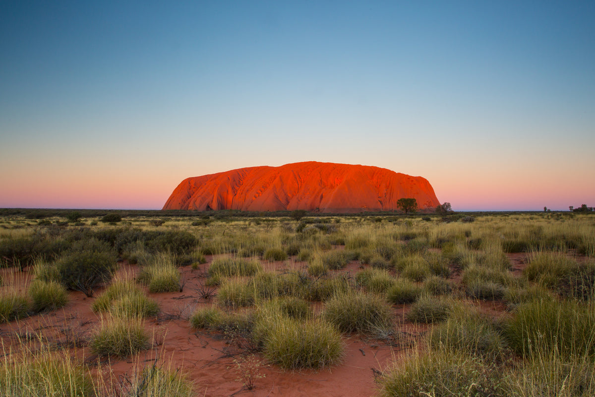 Majestic Uluru at Sunset Scenery Photograph Print 100% Australian Made