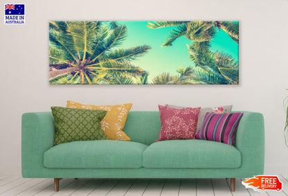 Panoramic Canvas Palm Trees Sky View High Quality 100% Australian Made Wall Canvas Print Ready to Hang