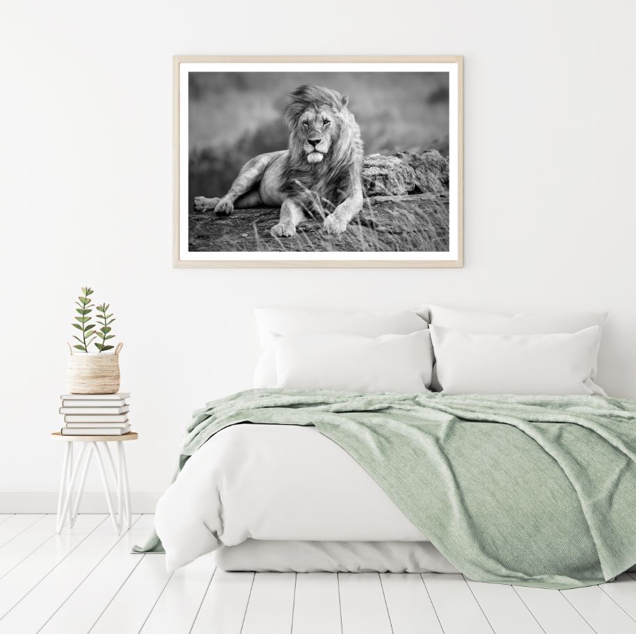 Lion Portrait B&W Photograph Home Decor Premium Quality Poster Print Choose Your Sizes