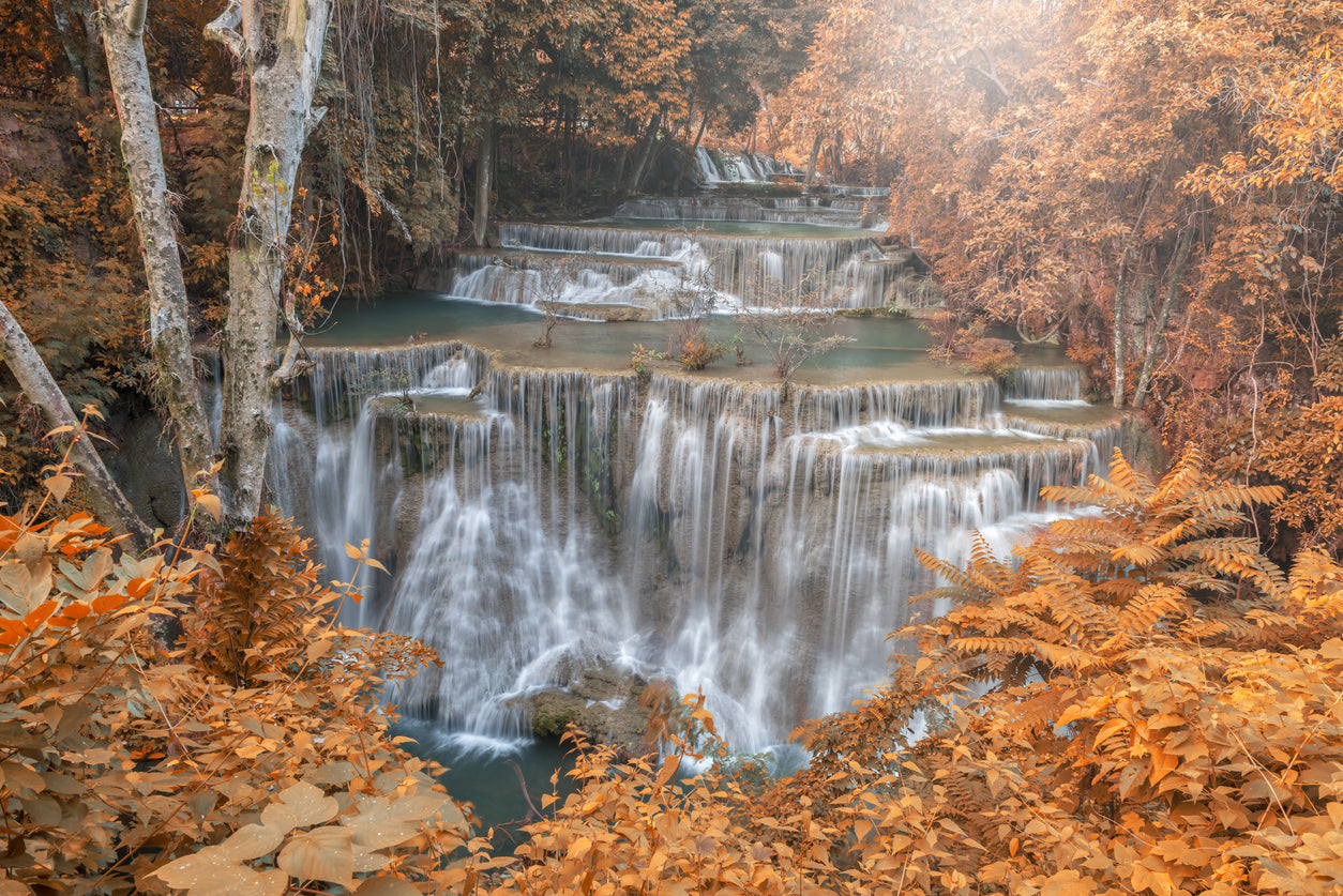 Waterfall in Autumn Forest Scenery Photograph Print 100% Australian Made