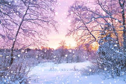 Forest Covered with Snow View Print 100% Australian Made