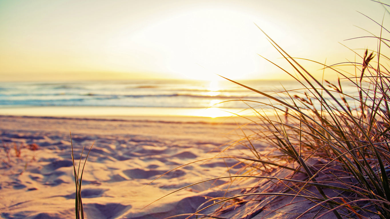 Sea Shore Sunset Scenery Photograph Home Decor Premium Quality Poster Print Choose Your Sizes