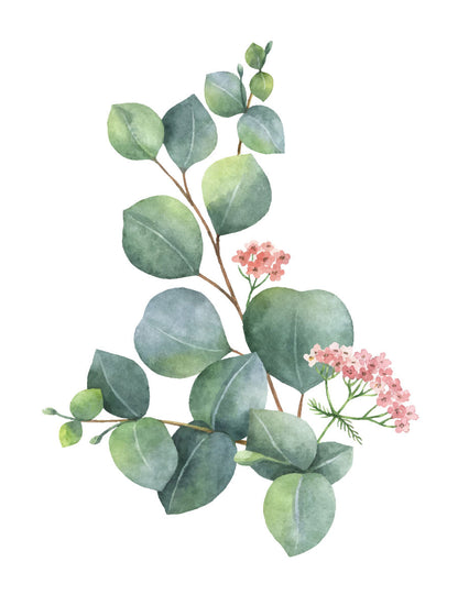 Flower Plant Watercolor Painting Print 100% Australian Made