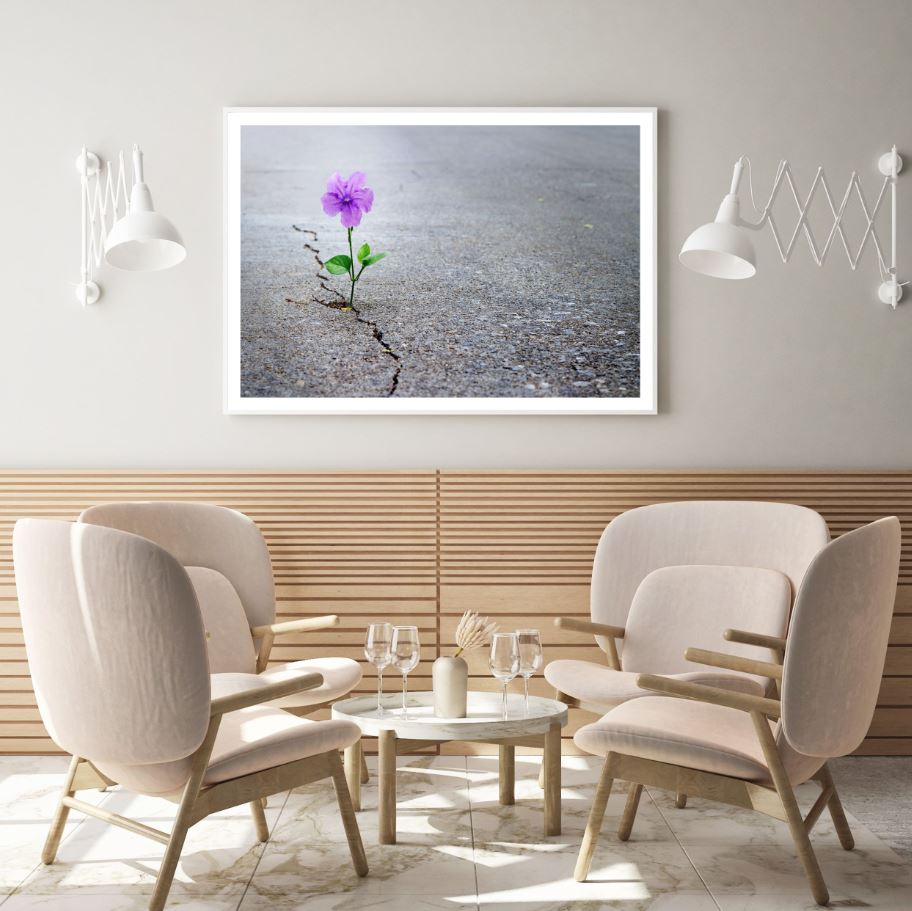 Purple Flower in Carpet Road Photograph Home Decor Premium Quality Poster Print Choose Your Sizes